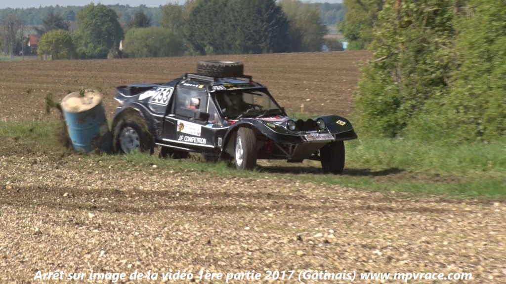 arrets_gatinais_2017_195.jpg