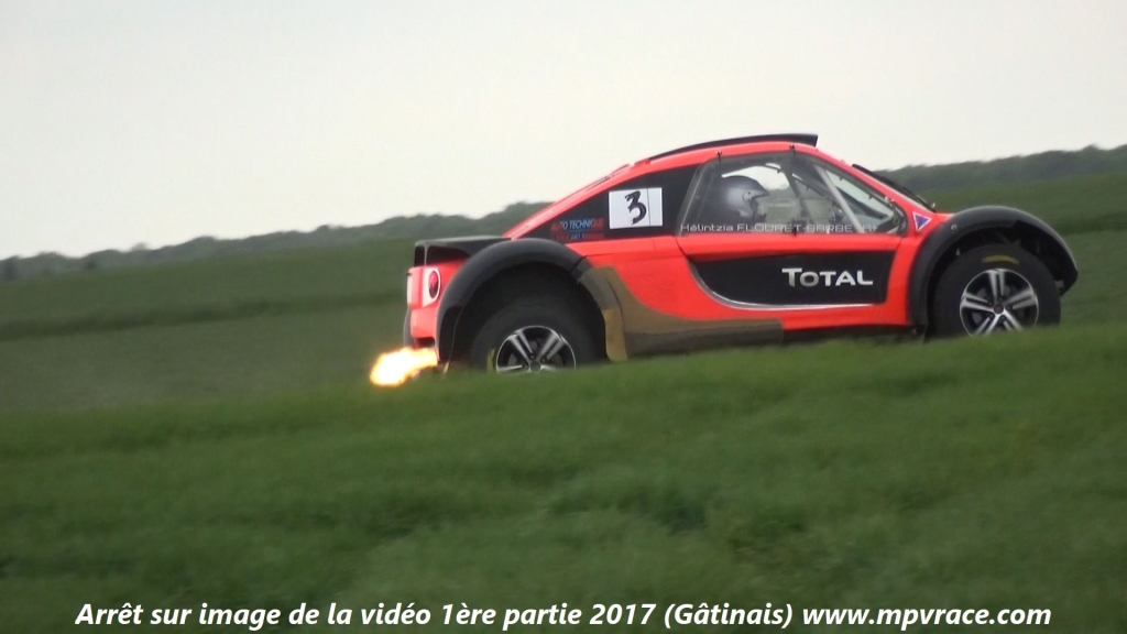 arrets_gatinais_2017_91.jpg